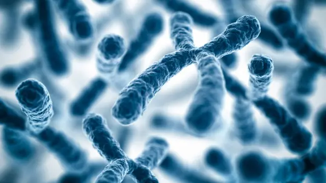 Pernyataan tentang Kromosom, DNA, dan Inti Sel yang Benar Adalah Struktur Molekulnya