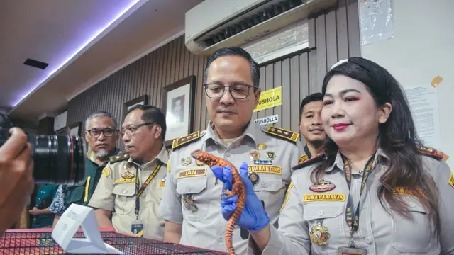 Selundupkan Monyet di Kaos Kaki, WNI dari Thailand Diciduk di Bandara Soetta