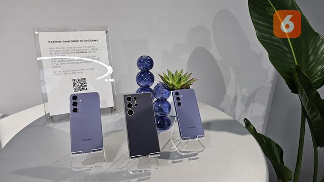 Samsung Galaxy S24 series