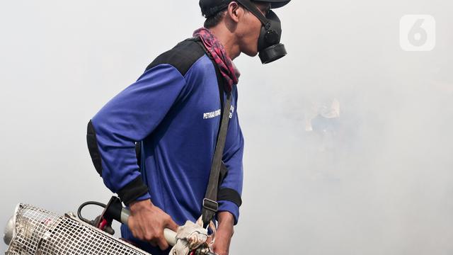 Kemenkes Ada Infeksi Ganda Kasus Dbd Dan Covid 19 News Liputan6 Com