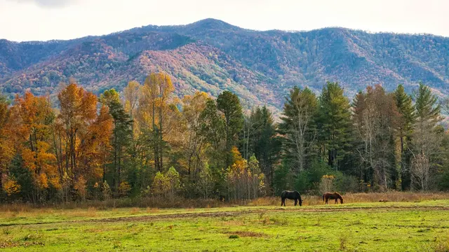 Great Smoky Mountains National Park