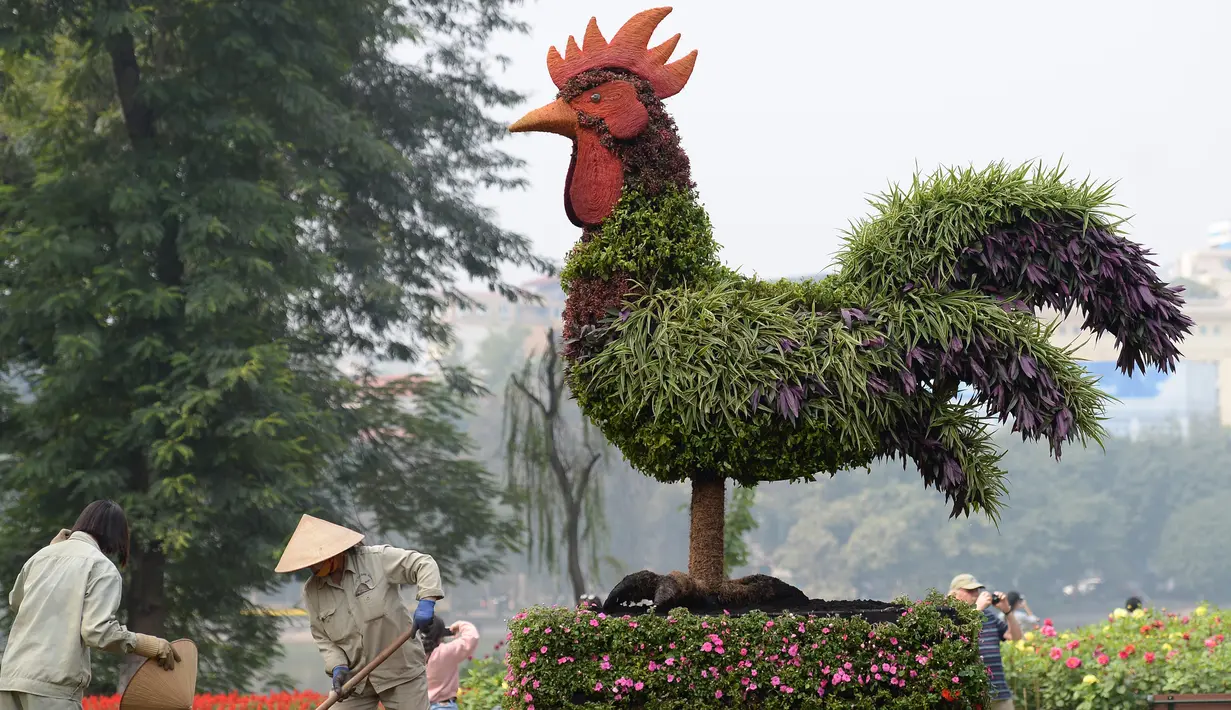 Sebuah tanaman hias berbentuk ayam terpajang di salah satu taman di Hanoi, Rabu (25/1). Pemasangan tanaman berbentuk ayam tersebut dilakukan dalam rangka menyambut tahun baru Imlek. (AFP PHOTO / Hoang DINH NAM)