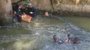 Beberapa personel TNI AL bahu-membahu dengan petugas gabungan (PPSU, Dinas KPKP) memburu dan menangkap ikan sapu-sapu di area perairan sekitar kawasan Setu Babakan, Jakarta Selatan. Tampak dalam foto, personel TNI AL bersama petugas KPKP saat operasi penangkapan ikan sapu-sapu di perairan kawasan Setu Babakan, Jakarta Selatan, Selasa (5/5/2026). (merdeka.com/Arie Basuki)