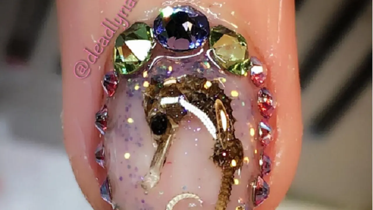 Tren Kekinian, Nail Art dengan Bangkai Serangga yang Perlu Dicoba