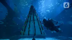 Penyelam melintasi pohon Natal yang terbuat dari bahan daur ulang di Jakarta Aquarium dan Safari, Sabtu (19/12/2020). Jakarta Aquarium dan Safari menghias pohon Natal dari bahan daur ulang mulai 20-27 Desember 2020 untuk memperingati perayaan Natal. (merdeka.com/Imam Buhori)