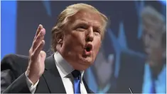Seperti sifat ikan buntal, Donald Trump dianggap sebagai salah satu politikus paling beracun di dunia.