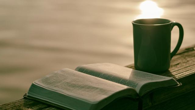 Morning