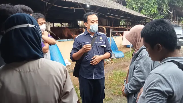 Sapi Mati Diduga Over Dosis Vaksin di Bekasi
