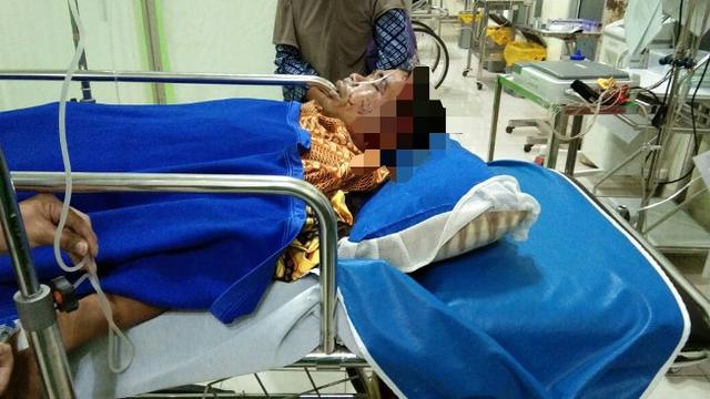 Korban penyerangan harimau kritis dan masih dirawat di rumah sakit di Kabupaten Indragiri Hilir.