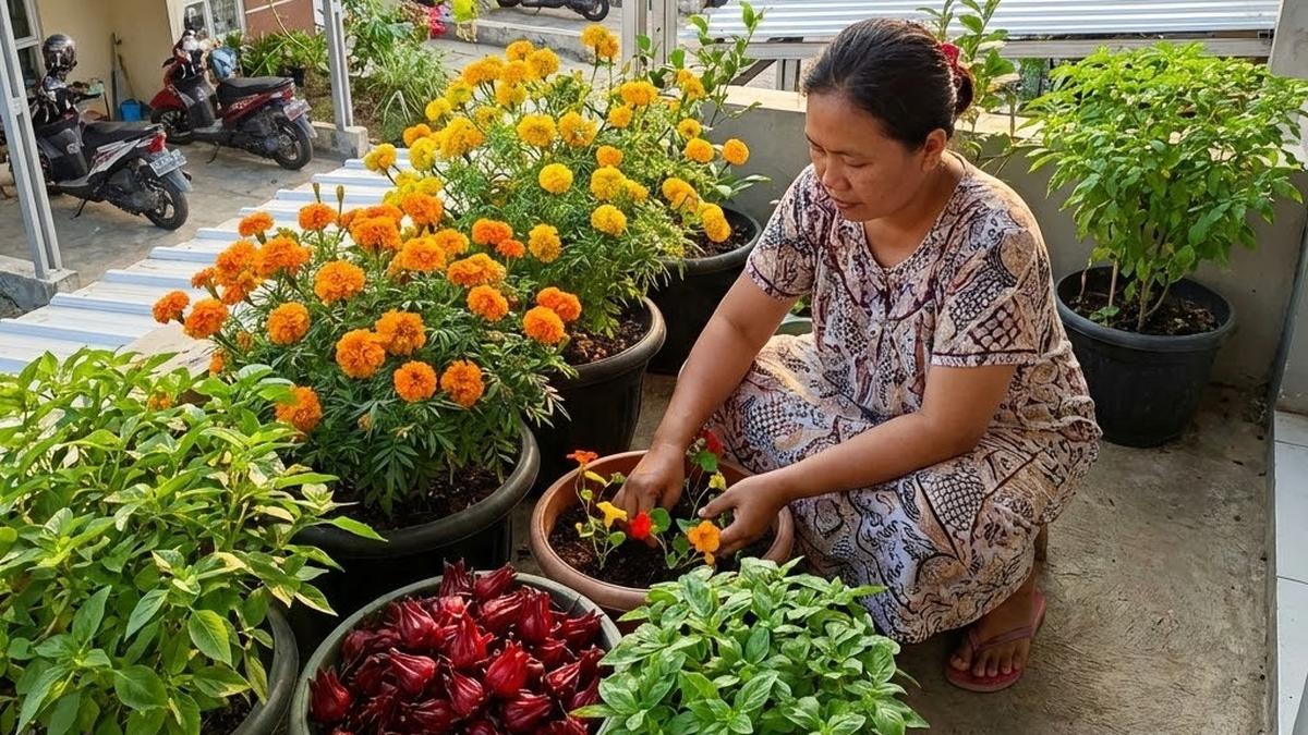 21 Jenis Sayuran Berbunga untuk Teras yang Minim Perawatan