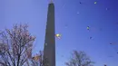 Sejumlah layang-layang terbang dengan latar belakang Monumen Washington pada Festival Blossom Kite di Washington, D.C., Amerika Serikat, Sabtu (31/3). Festival ini merupakan serangkaian kegiatan menyambut bunga sakura bermekaran. (Eva HAMBACH/AFP)