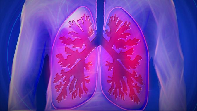 Ilustrasi paru-paru/credit pixabay/kalhh