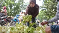 Ketupat Sayur tak bisa dipisahkan dari perayaan Lebaran. Sehari sebelumnya, hampir seluruh masyarakat Indonesia membuat ketupat sayur. Ditambah opor ayam atau semur daging. (Liputan6.com/Faizal Fanani) 