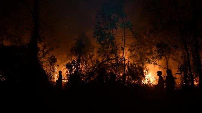 Petugas pemadam kebakaran memadamkan api saat kebakaran hutan dan lahan (karhutla) di Pekanbaru, Riau, Jumat (13/9/2019). BMKG Pekanbaru memperingatkan masyarakat waspada terhadap penurunan kualitas udara dan jarak pandang karena peningkatan polusi. (ADEK BERRY/AFP)