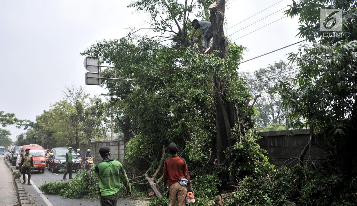 FOTO Antisipasi Tumbang Dinas Kehutanan Jakarta Timur 