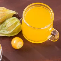 ilustrasi ciplukan/Luis Echeverri Urrea/Shutterstock