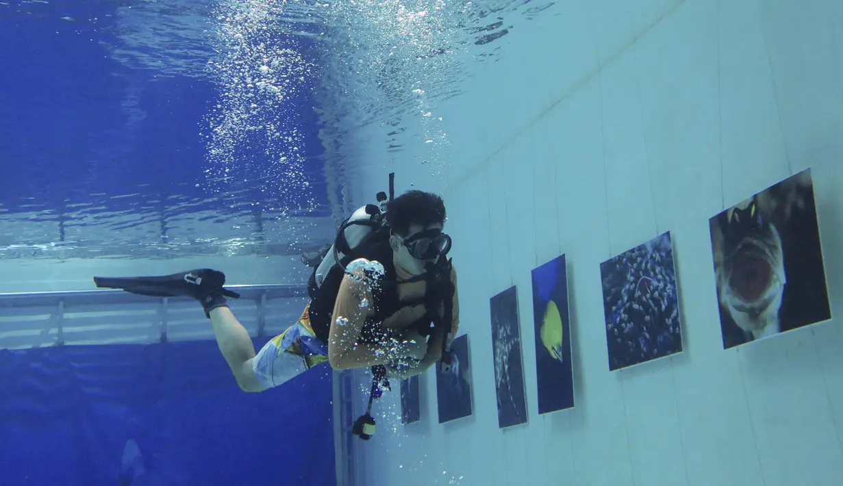 Penyelam melihat pameran foto yang dipamerkan dalam air di Inner Space Club, Beijing, China, Kamis (5/11). 40 karya foto bawah laut dipamerkan untuk memberikan pengalaman menyaksikan pameran foto yang tidak biasa kepada pengunjung (REUTERS/Kim Kyung-Hoon)