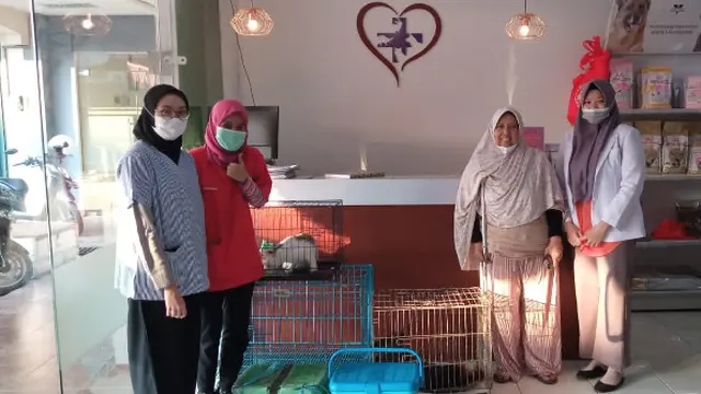 Sambut World Rabies Day, March Animal Foundation Adakan Baksos Steril dan Vaksin Rabies Gratis
