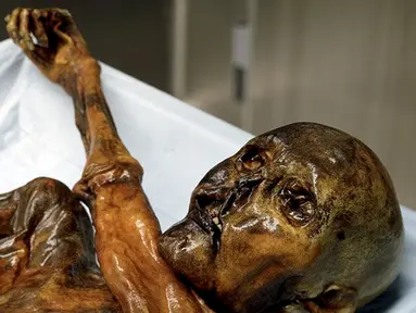 Mayat Otzi atau manusia Similaun yang ditemukan di gletser Tyrolean dan diletakkan di Museum Arkeolog EURAC, Bolzano, Italia, (4/1/2016). Mumi yang berumur 5300 tahun ini biasa disebut dengan manusia es. (REUTERS / Sudtiroler Archaeologiemuseum)