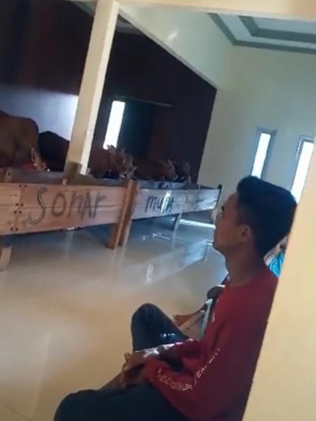 Viral Kandang Sapi di Dalam Rumah Mewah, Enggak Bakal Kepanasan