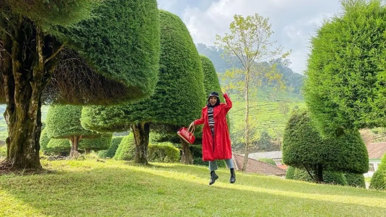 Bukit Jamur, Bandung Selatan