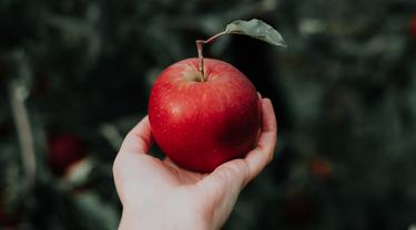 ilustrasi buah apel/unsplash