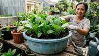 Cara Menanam Sawi di Baskom Bekas Tumbuh Subur, Solusi Panen Sayur Segar di Rumah