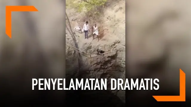 VIDEO: Dramatis, Nenek 85 Tahun Diselamatkan dari Dalam Sumur