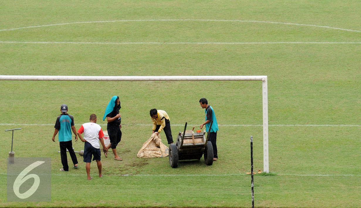 Pekerja membersihkan dan merapikan rumput lapangan Stadion Gelora Bung Karno, Jakarta, Rabu (18/5/2016). Rencananya, Stadion GBK akan mulai direnovasi pada Juni mendatang terkaitpersiapan pelaksanaan Asian Games 2018. (Liputan6.com/Helmi Fithriansyah)