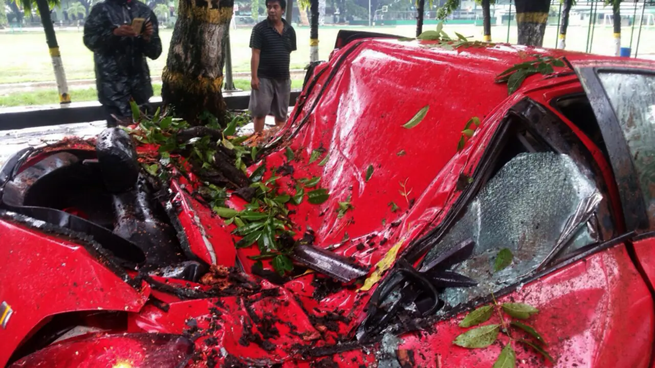 Mobil tertimpa pohon tumbang
