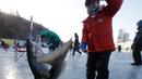 Peserta memperlihatkan ikan hasil tangkapannya saat acara Festival Es di sungai Hwacheon yang membeku di Korea Selatan, Sabtu (14/1). (AP Photo/Ahn Young-joon)