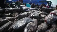 Sejumlah nelayan menurunkan ikan-ikan hasil melaut untuk dijual di kawasan Pelabuhan Muara Baru, Jakarta, Kamis (28/8/2014) (Liputan6.com/Faizal Fanani)