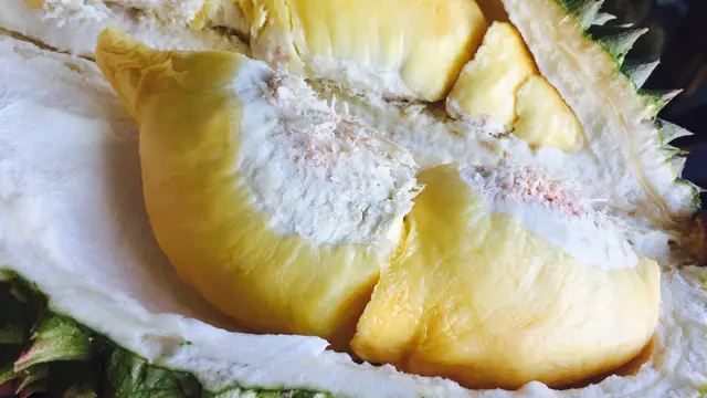 durian