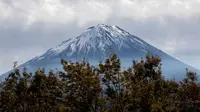 Gunung Fuji, gunung tertinggi di Jepang, terlihat dari Fujikawaguchiko, Prefektur Yamanashi (1/11). Gunung Fuji diperkirakan terbentuk sekitar 10.000 tahun yang lalu. (AFP Photo/Behrouz Mehri)