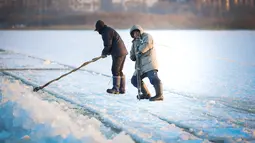 Sejumlah pekerja mengumpulkan es dari Sungai Songhua di Harbin, ibu kota Provinsi Heilongjiang, China timur laut (7/12/2020). Bongkahan es yang dikumpulkan dari Sungai Songhua yang membeku itu akan digunakan sebagai dekorasi kota tersebut. (Xinhua/Wang Song)