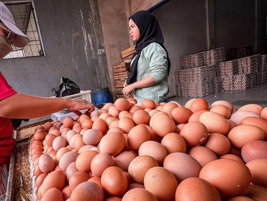 Warga membeli telur pada agen telur di Tangerang, Banten, Selasa (8/3/2022). Menurut pedagang,  pekan ini  harga telur ayam ras mengalami kenaikan dari harga Rp19 ribu menjadi Rp24 ribu per kilogram. (Liputan6.com/Angga Yuniar)