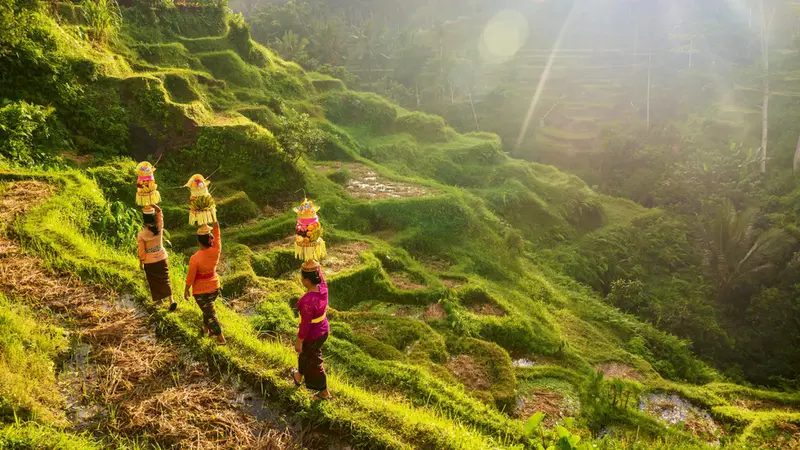 Ubud, Bali.