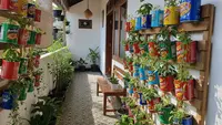 Model Kebun Vertikal dari Kaleng Bekas Parcel, Ini 6 Langkah Mudah Membuatnya