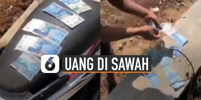 VIDEO: Viral Uang Ratusan Ribu Ditemukan Warga di Sawah