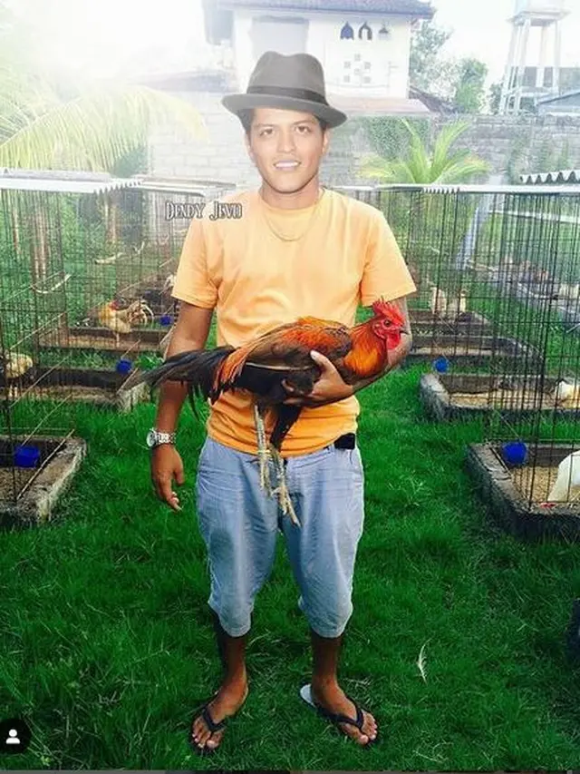 5 Editan Foto Seleb Dunia Jika Pelihara Ayam Ini Kelewat Unik, Kocak