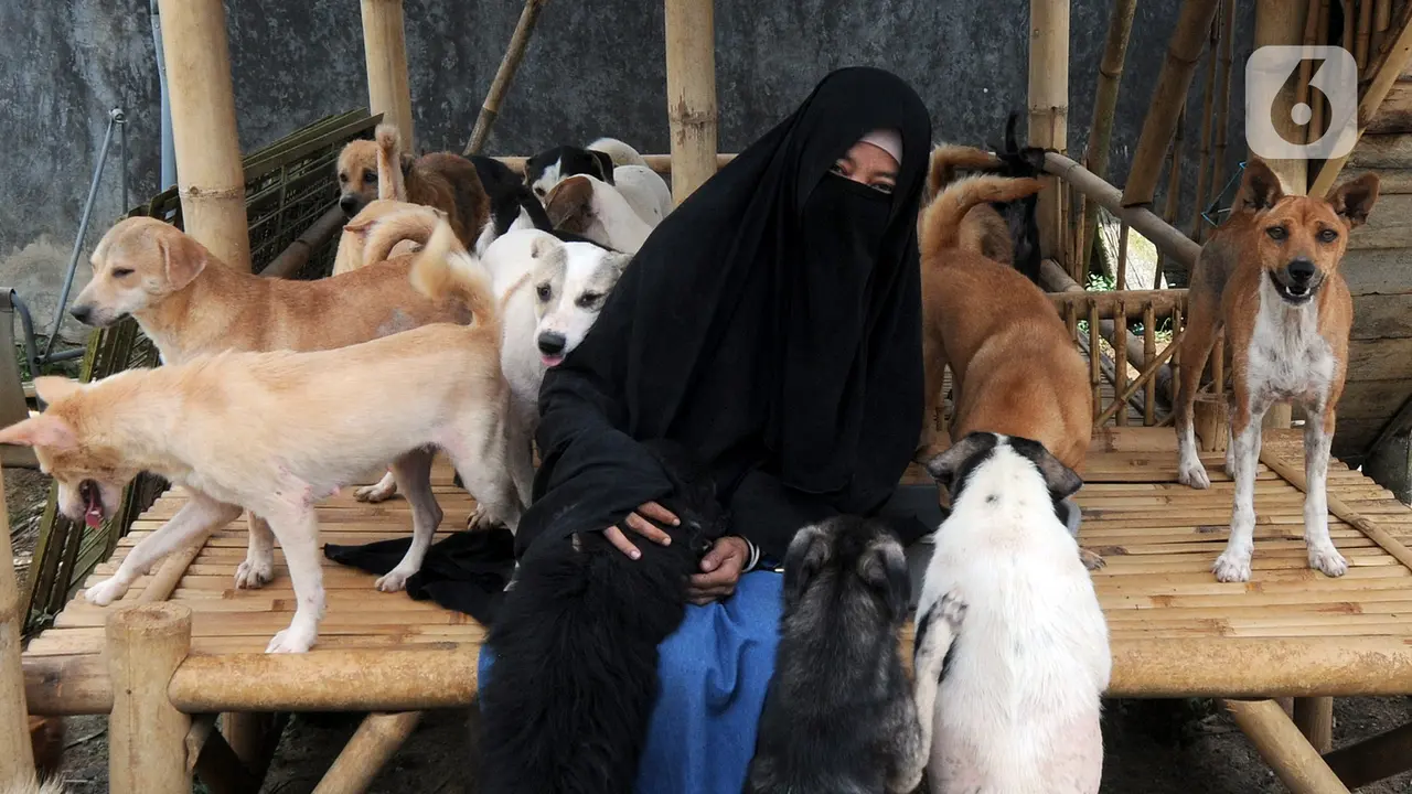 FOTO: Kedekatan Hesti Sutrisno dengan Anjing-Anjing Liar Peliharaannya