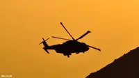 Helikopter Jatuh di Hutan, 5 Tewas