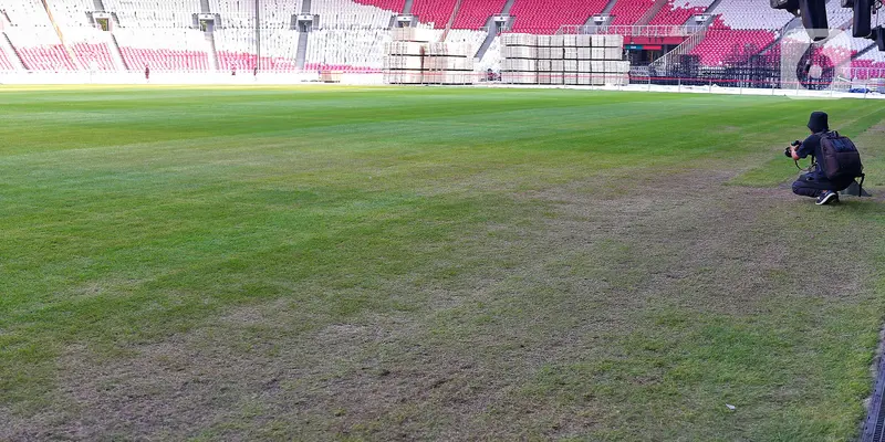 rumput Stadion Utama Gelora Bung Karno