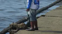 Pagar Laut di Tangerang Langgar Aturan Pengelolaan Ruang Laut