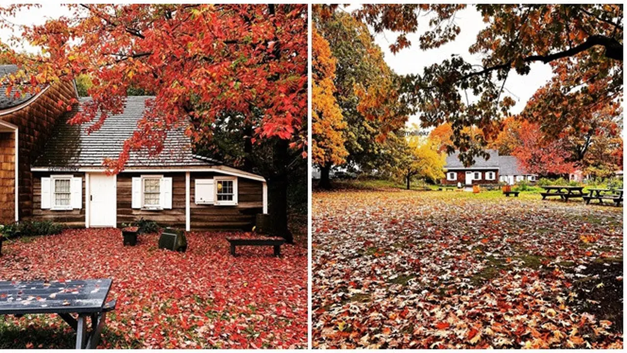 6 Fakta Unik Wyckoff House Gedung Tertua di New York, Ditetapkan Sebagai Landmark