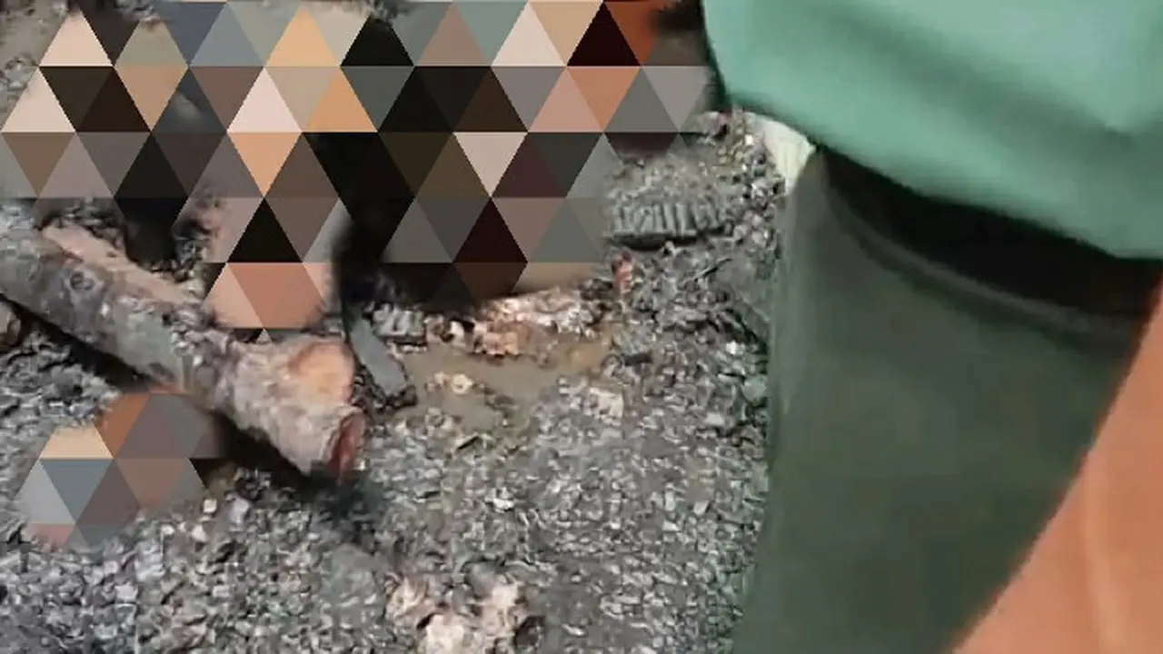 ODGJ hangus terbakar setelah rumah yang ditinggalinya dilalap api.