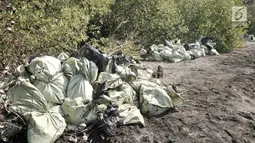 Tumpukkan karung berisi oil spill memenuhi pesisir Pantai Muara Beting, Muara Gembong, Bekasi, Jawa Barat, Minggu (28/7/2019). Oil spill akibat kebocoran terjadi pada 12 Juli lalu tersebut terus mencemari laut utara Jawa hingga kini telah mencapai perairan Muara Beting. (merdeka.com/Iqbal S Nugroho)