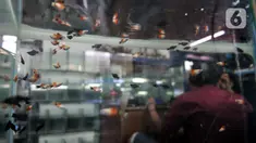 Aktivitas pedagang salah satu kios di Pusat Ikan Hias Johar Baru, Jakarta, Selasa (4/2/2020). Minimnya promosi menyebabkan pasar ikan hias yang dikelola Dinas Koperasi dan UMKM Provinsi DKI itu sepi pengunjung dan banyak pedagang merugi hingga akhirnya menutup kios. (merdeka.com/Iqbal Nugroho)