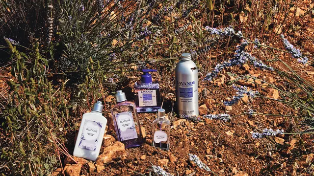 Serangkaian Bodycare dengan Aroma Lavender Untuk Harum Seharian