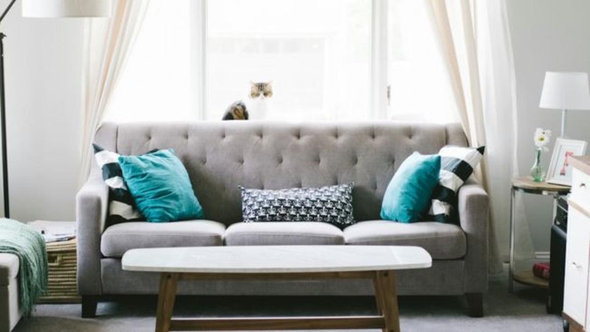 7 Warna Sofa untuk Ruang Tamu Kecil, Sulap Ruangan Sempit Jadi Lebih Lapang dan Nyaman